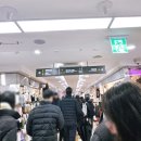 화원우체국 | 2025 명동 신세계백화점 미디어파사드 언제? 시간 기간 명당 정리