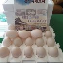 예천홍삼유황오리 이미지