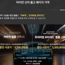 포르쉐 타이칸 내돈내산 전체 PPF 후기(모터스킨)