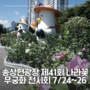 무궁화어린이집 | 부산 여름 가볼만한곳│송상현광장 나라꽃 무궁화 전시회 관람후기