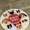 콩이네하우스 네이버블로그