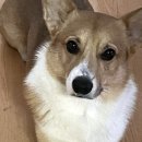 샘머리1단지 이미지