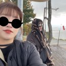 다조아분식 | 영월여행 엄마랑 가을 단풍 실컷 본 1박2일 하나 :: 메밀꽃 활공장 선돌