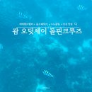 오딧세이호텔 | 괌 투어 추천 오딧세이 돌핀크루즈 돌고래 에메랄드밸리 후기