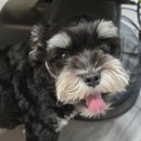 동탄그린약국 이미지