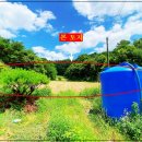 양편농장 이미지