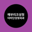 비단라인 이미지