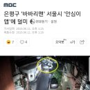 은평구 `바바리맨` 서울시 `안심이앱`에 덜미 이미지