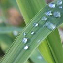 강내과의원 이미지