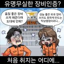 'Netizen 시사만평(時事漫評)떡메' '2024. 08.17'(토) 이미지