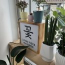 러브미플레르