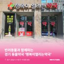 지금행복약국 이미지