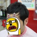 할리헤어
