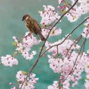 꽃길만걷자 이미지