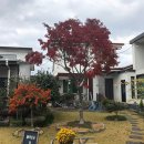 세솔팬션 이미지