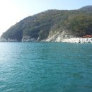 약산면-2 이미지