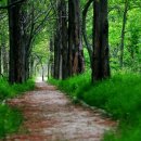 새소리 물소리 이미지