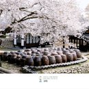 혜원 카카오 검색결과