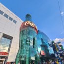 주차16 | 라스베가스 코카콜라 주차/립밤/세계 콜라 16종 맛본 후기 !!