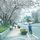 덕진-30 이미지