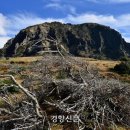구상 이미지