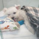 목천골재 이미지
