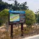주전보밑항연안공원화장실 | [울산/동구] 부산 근교 무료 해루질 취사 가능한 곳 추천!