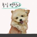 피움동물병원 이미지