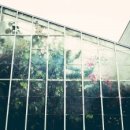 해상농장 이미지