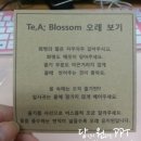 떼아블라썸 두번째 [플라워서브스크립션/플라워정기구독/꽃정기구독/떼아블라썸]