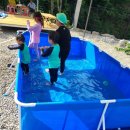 김가네구가네 이미지