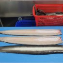 대동수산 이미지