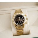 데이토나 이미지