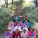 아름다운노인복지센터 이미지