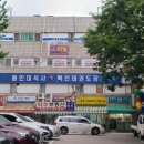 용인대 신성 태권도장 이미지