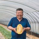 선한청과