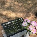 베르시네일 | 저 결혼했다는데요?