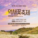 제27회 포천 산정호수 명성산 억새꽃 축제 | 명성산 억새꽃축제 기간 포천 산정호수 제27회 2024