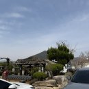 산외로 | 개냥이 3마리가 반겨주는 냥멍도 하고 분위기도 디저트도 최고인 한옥 카페 '1919봄' 내돈내산 솔직 후기