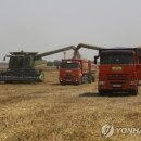 이승민농장 연합뉴스