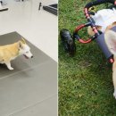 개st하우스 이미지