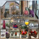 강릉대형카페 허스크밀 강릉베이커리 케이크맛집 촉촉한 초코케이크 후기