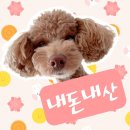 씨유옥계4공단점 | 구미 옥계 맛집 원조조방낙지 4공단점 내돈내산 방문후기