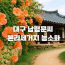 연안차씨 집안문서 | 대구 남평문씨 본리세거지 능소화 맛집 | 7월 여름꽃 명소 무료 고택여행 사진촬영 포토존