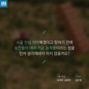 인심이네 이미지