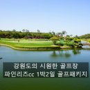 세이브투어 이미지