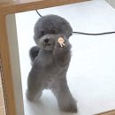 강릉사다함 이미지
