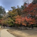 25년10월 정기산행 평창 오대산 선재길 이미지