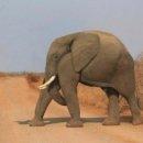 루 펜션 이미지