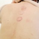 고래한방병원 이미지